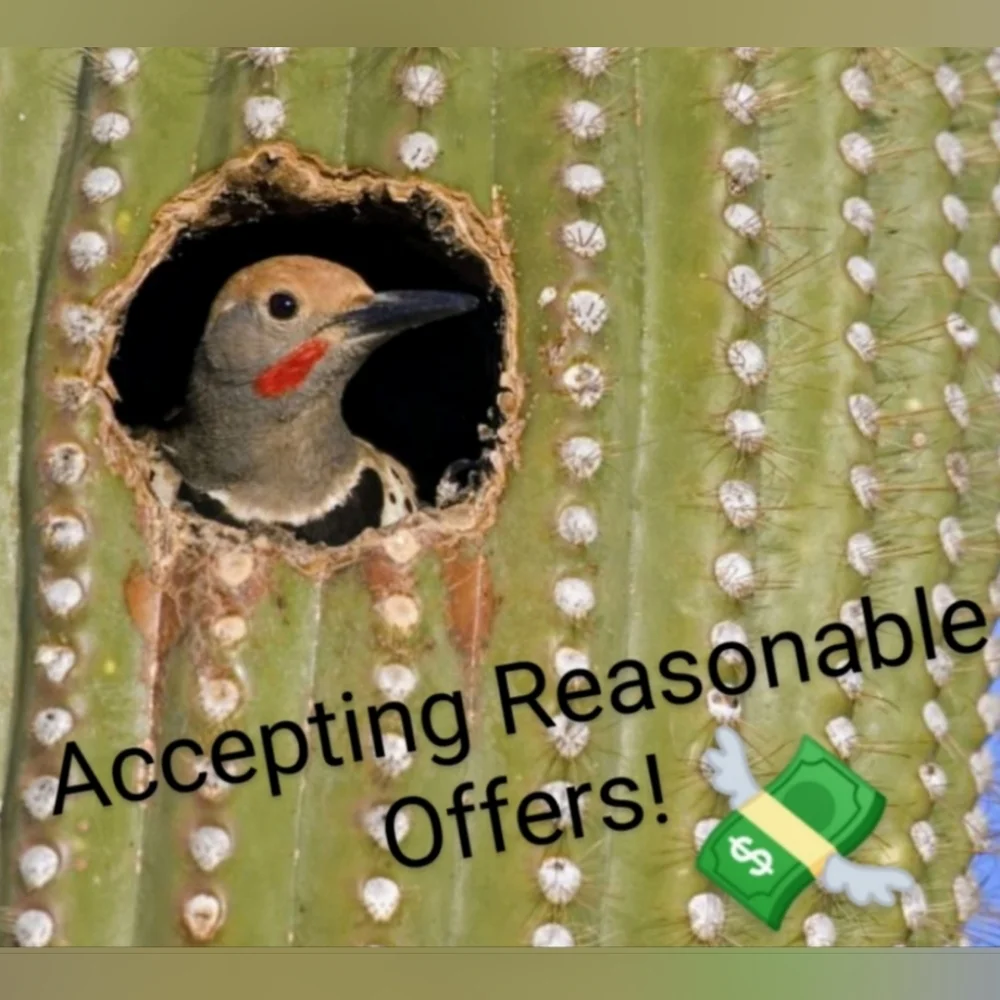 🆕💀ROBERT GRAHAM BLUE & RED SHORT SLEEVE MEN'S SHIRT WITH WHITE SKULLS💀 - Picture 8 of 8